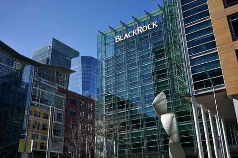 BlackRock: green stocks that are winning in the long run
