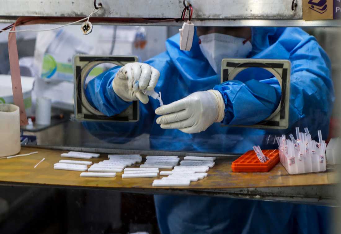A health worker collects Govit-19 tests at Mumbai Municipal Hospital.  Several cases of Indian duplication have now been detected in countries such as the United Kingdom, Denmark and Norway. 