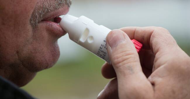 New study: Swedish asthma could help people with the virus
