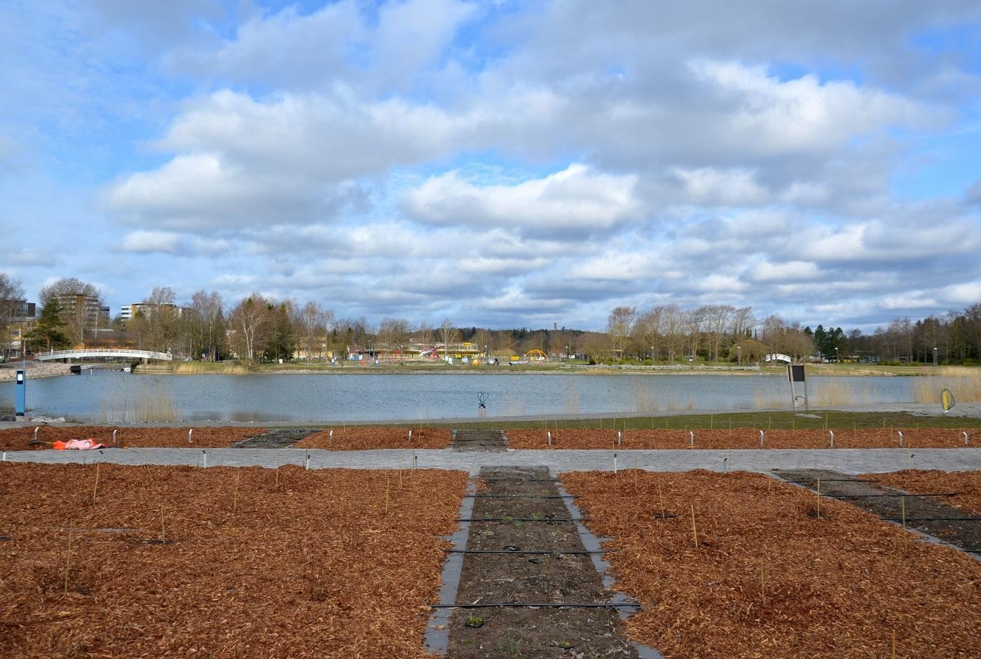 A park was recently planted on the edge of the water