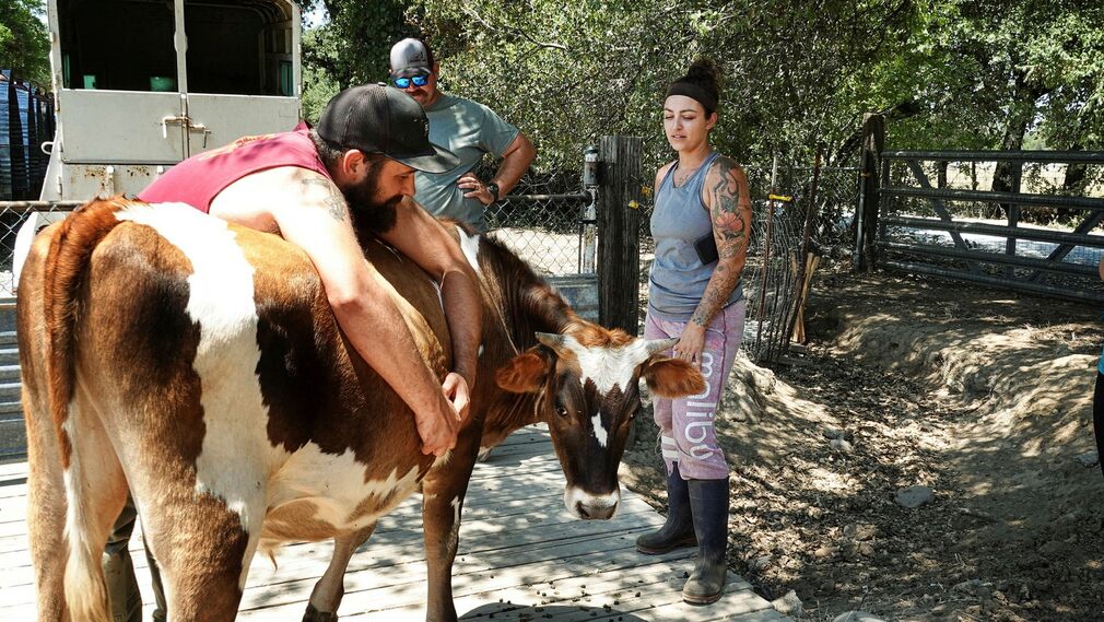 Cassandra Odom and Derek Lockhart evacuate animals from an animal shelter in Northern California.