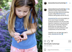 On Instagram, the Princess and Princess have posted this beautiful picture of Princess Charlotte with a butterfly in her hand.