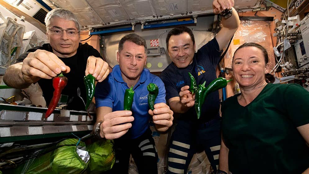 SpaceX astronauts are forced to fly from the International Space Station with diapers