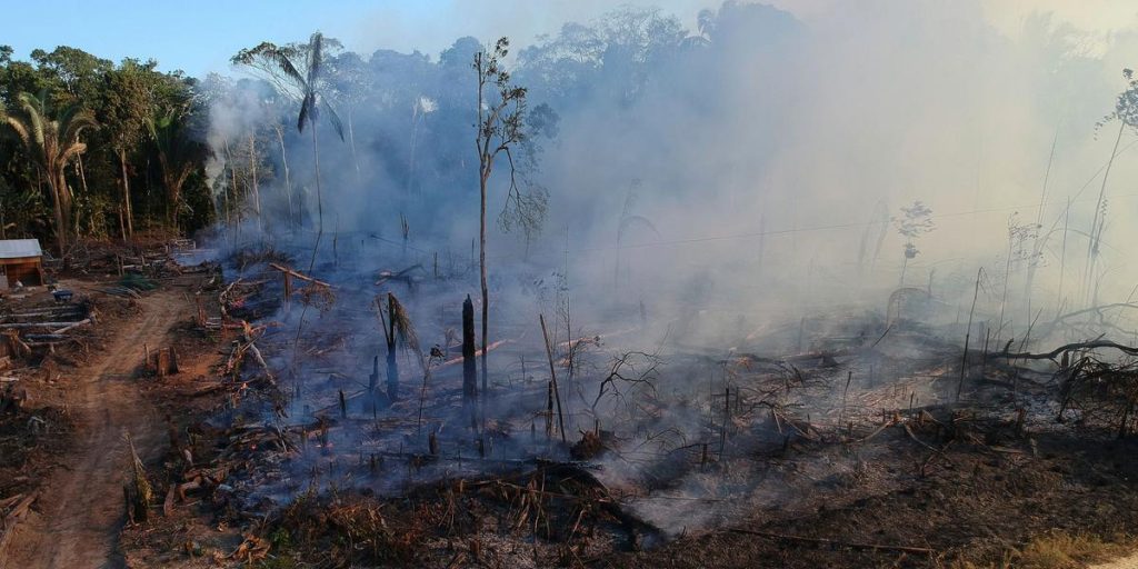 The devastation in the Amazon is more than 15 years old