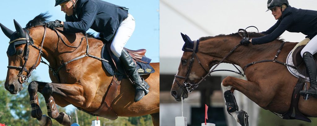 Jens and Petronella are new to the national jumping team