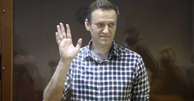Navalny's criticism of Putin: 'disingenuous villain'