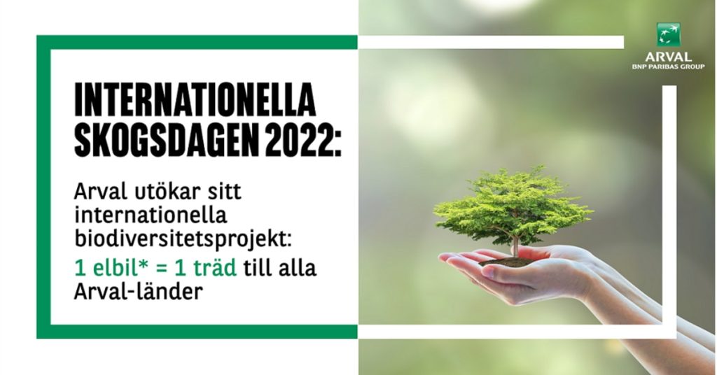 International Day of Forests 2022: Arval expands its international biodiversity project: One electric car = one tree for all Arval countries