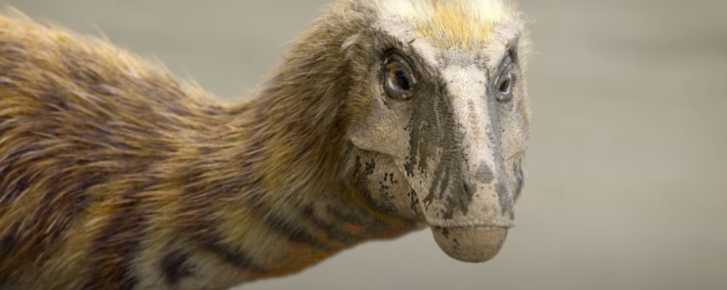 David Attenborough talks about dinosaurs in new documentary |  Movie Zen