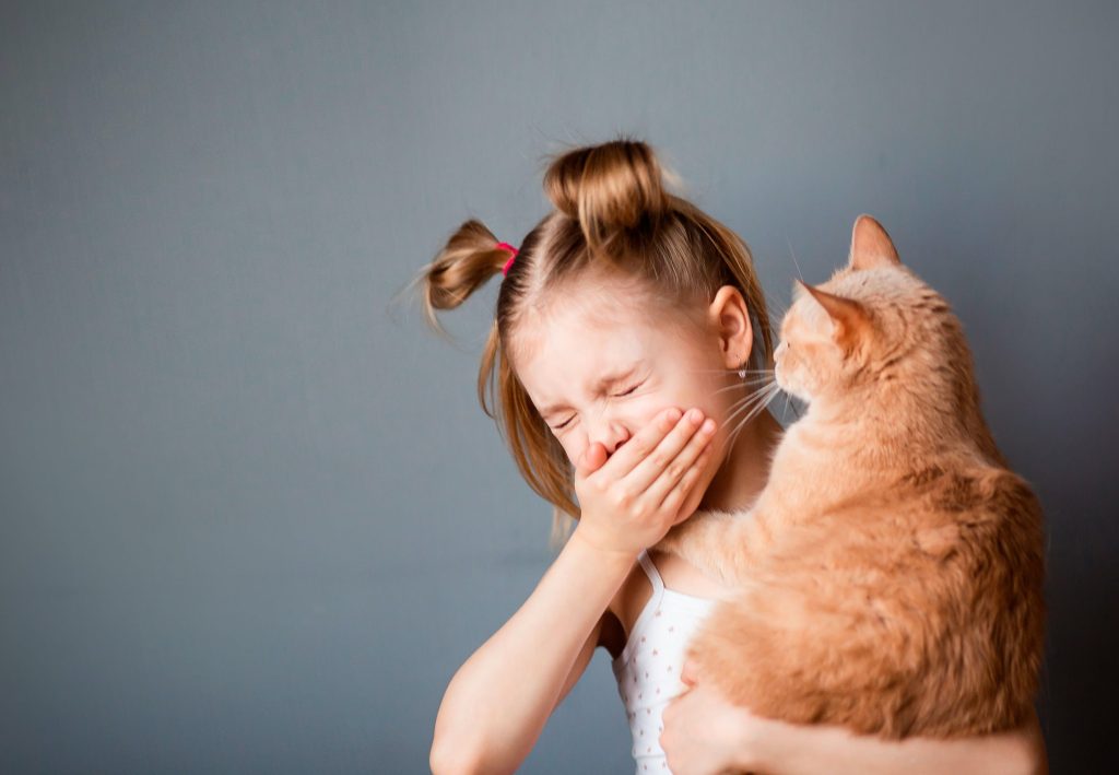 New Discovery: Now cat allergies will soon be a thing of the past