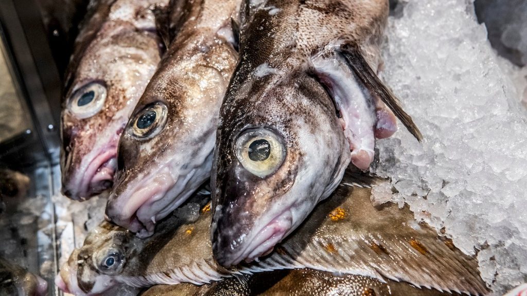 Studie: Mycket fisk ökar risken att drabbas av hudcancer