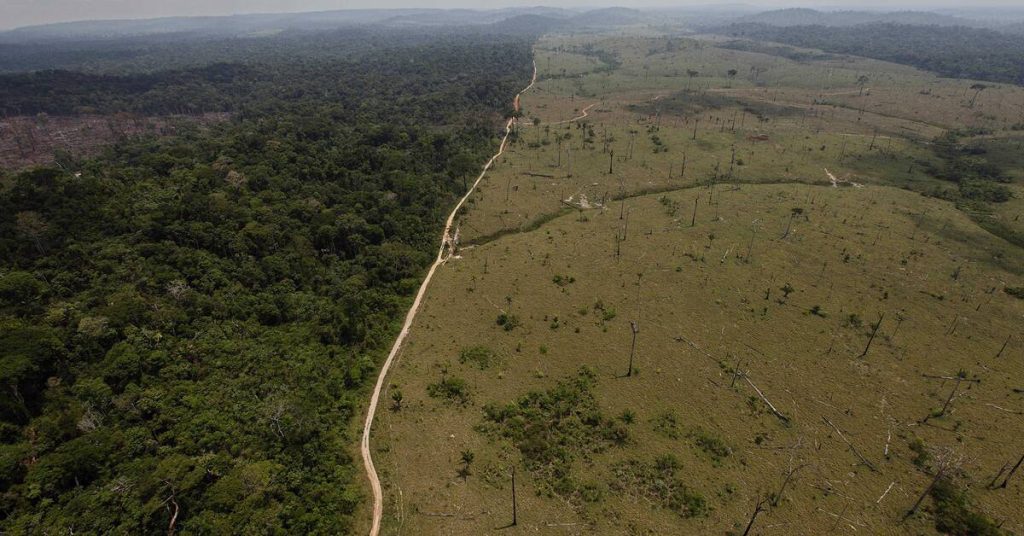 Record of deforestation in Brazil