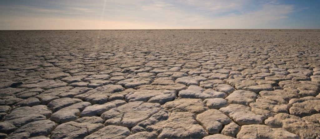 The dangerous situation in Europe – the worst drought since the 16th century