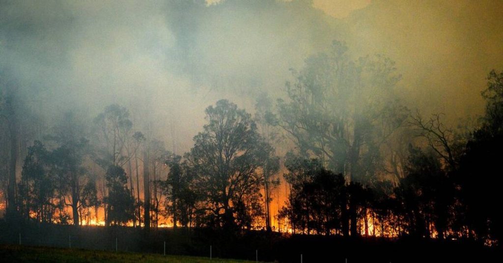 Nature: Australia's bushfires may have increased the ozone hole