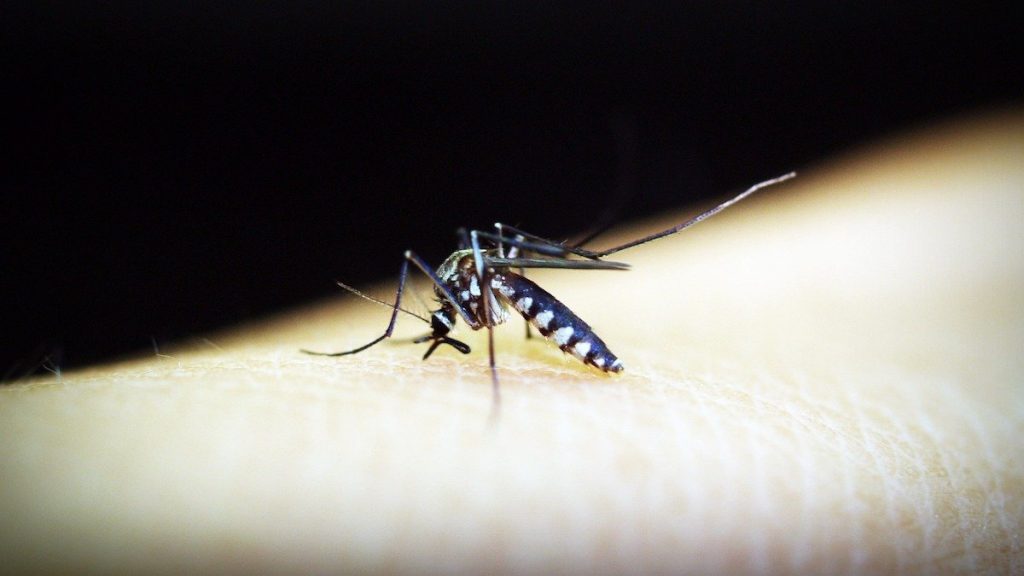 Indragen finansiering kan stoppa lovande vaccin mot malaria