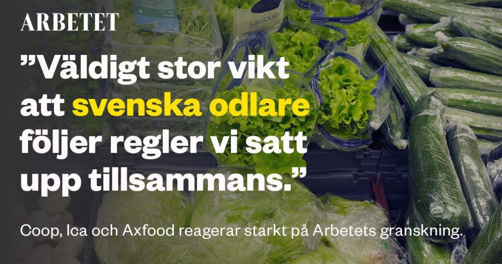 Axfood, Ica and Coop react to unreasonable working conditions for non-registered - Arbetet