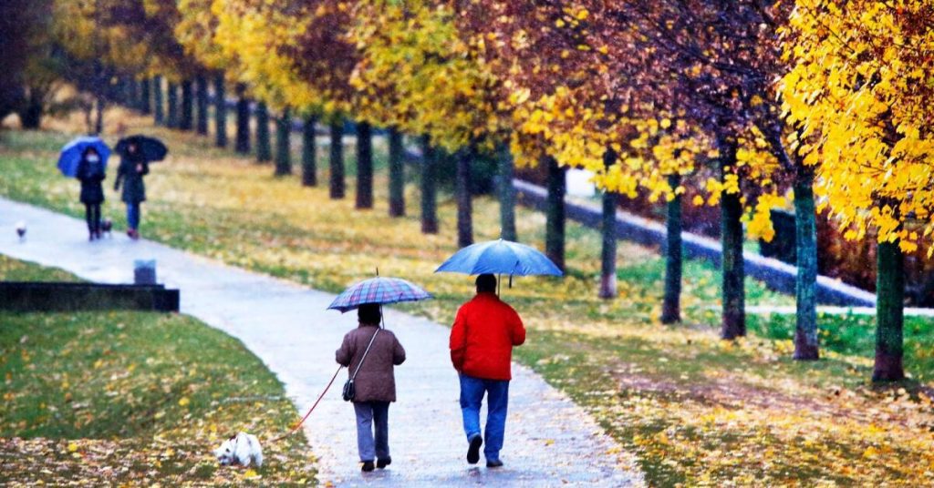 Five tips for a better fall and a healthier life