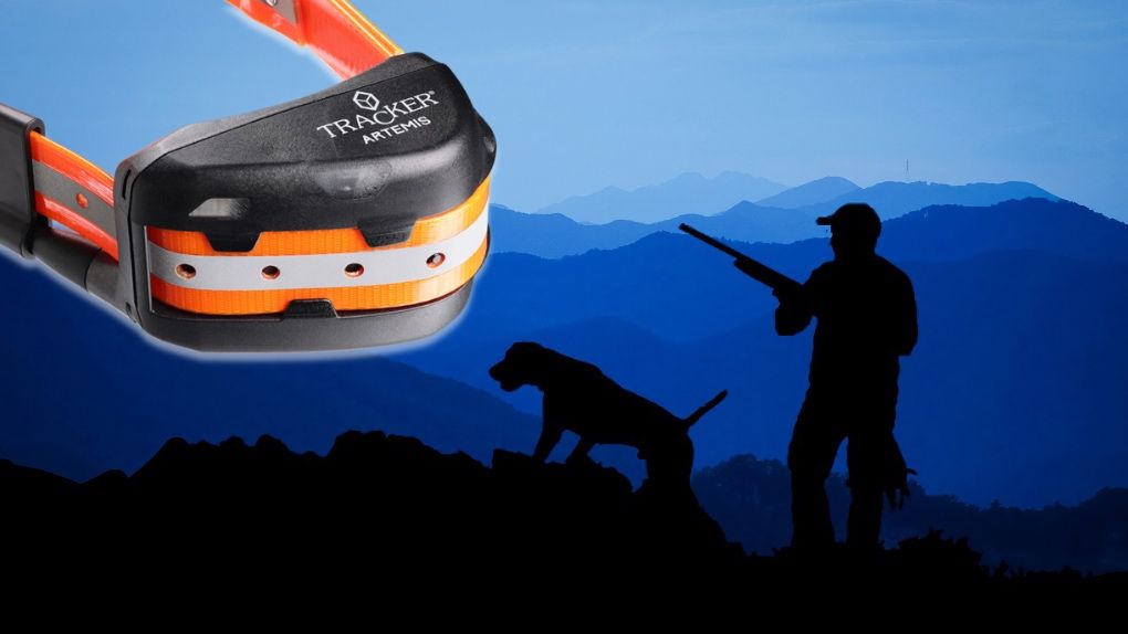 Quiz: Tracker Artemis - dog tracker and mobile app for discerning hunters