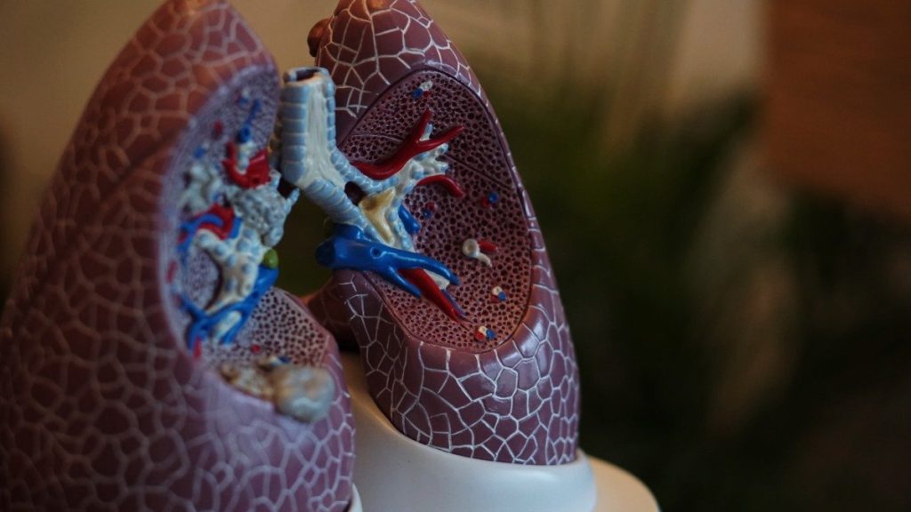 Morphine does not help patients with chronic obstructive pulmonary disease who have severe shortness of breath.